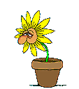 sneezeflower.gif