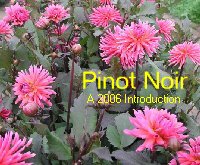Pinot Noir, a 2006 Introduction