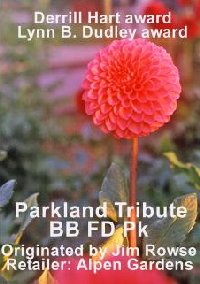 Parkland Tribute