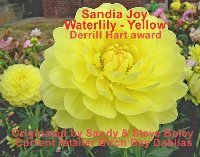 Sandia Joy