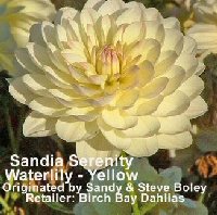 Sandia Serenity
