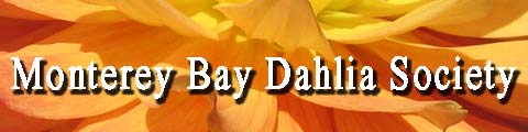 Monterey Bay Dahlia Society