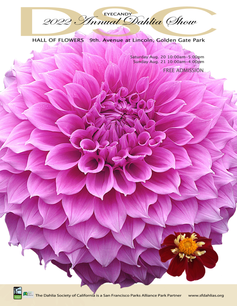 Dahlia Society Of California The official flower of San Francisco