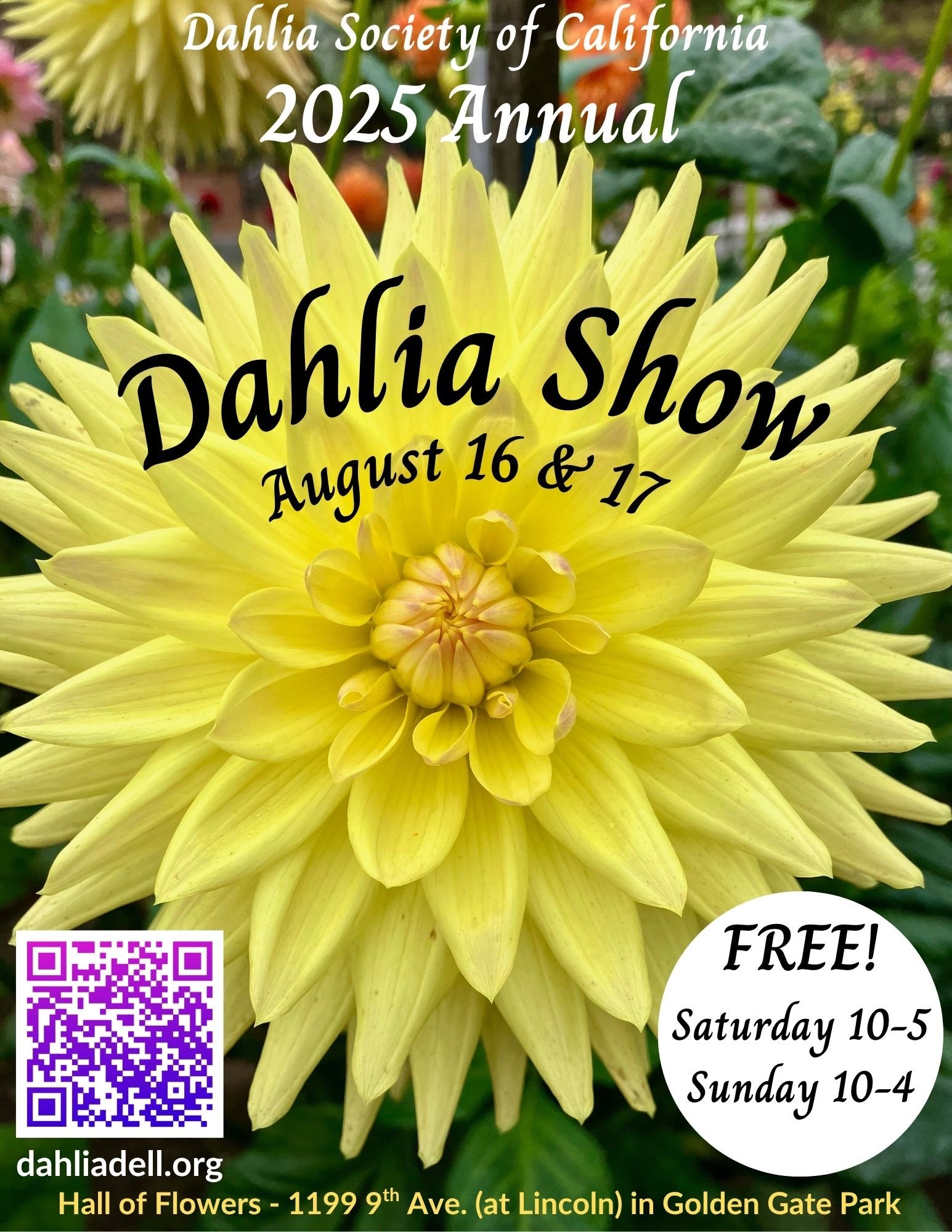 DSC Dahlia Show 2025